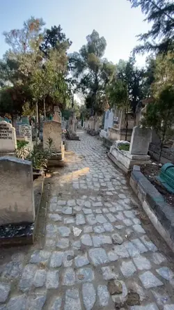 ah şimdi nerdesin