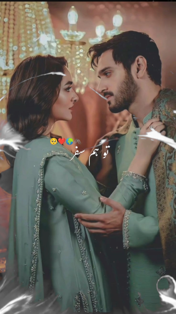 تو ہم سفر 