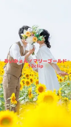 あいみょん／マリーゴールド