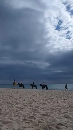 Trăiește azi.