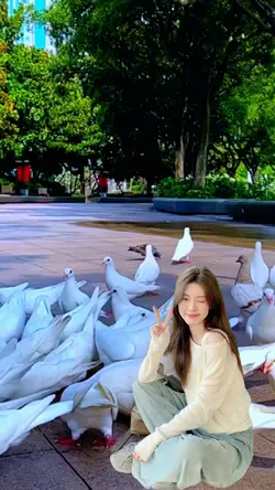 Ghép Chim bồ câu