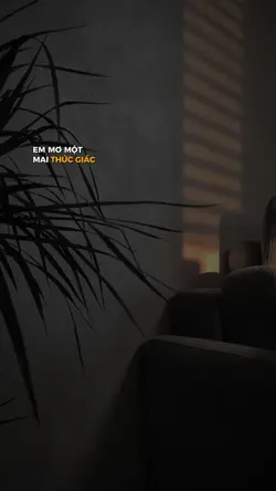 Thêm Bao Nhiêu Lâu