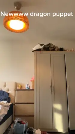 Dragon puppet