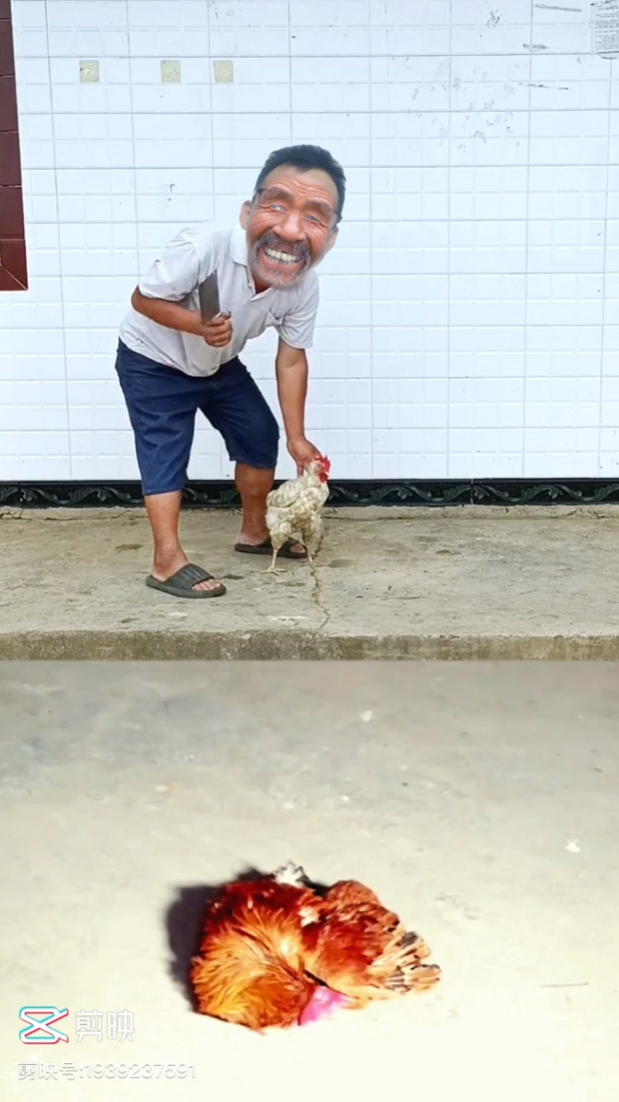 Dogà hài hưc