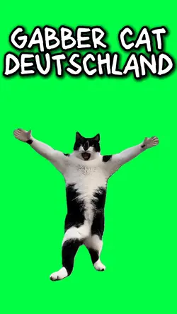 GABBER CAT GERMANY