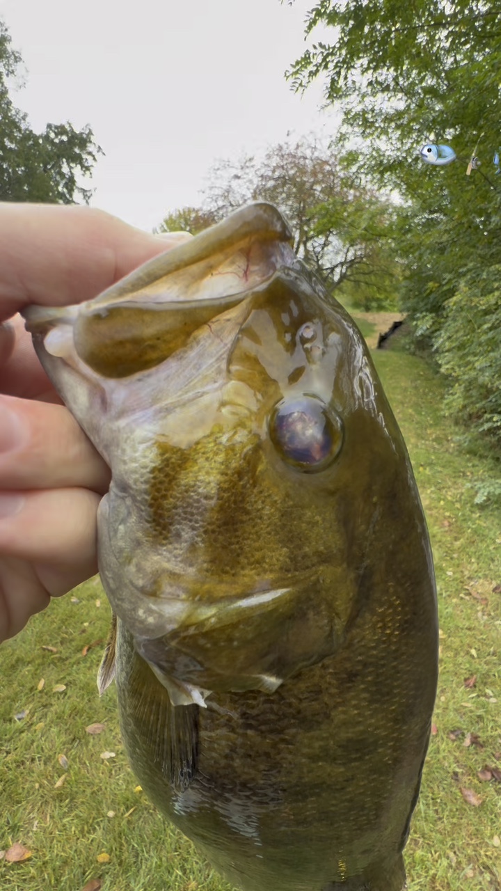 Who loves to fish