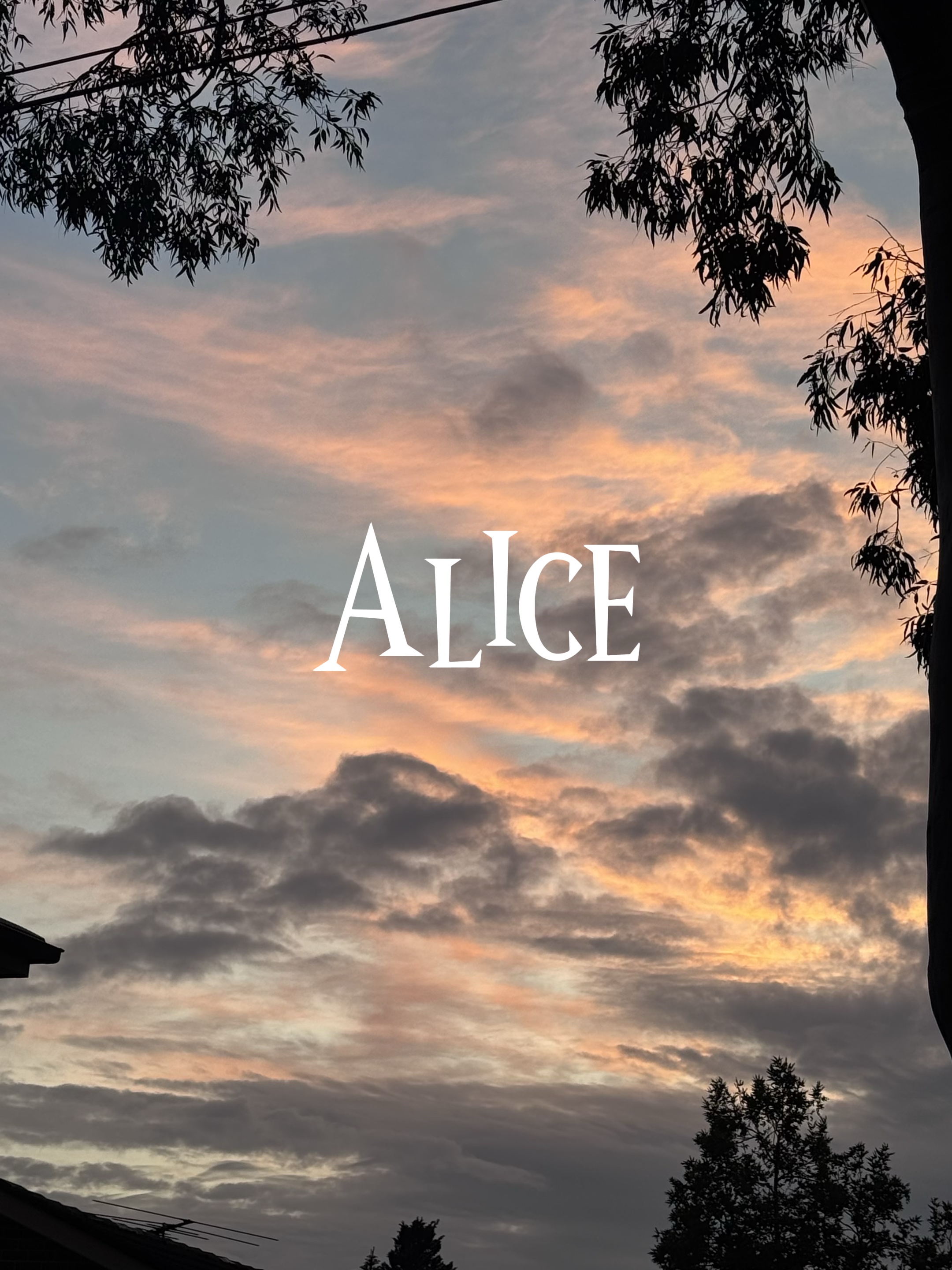Alice au pays des merveilles
