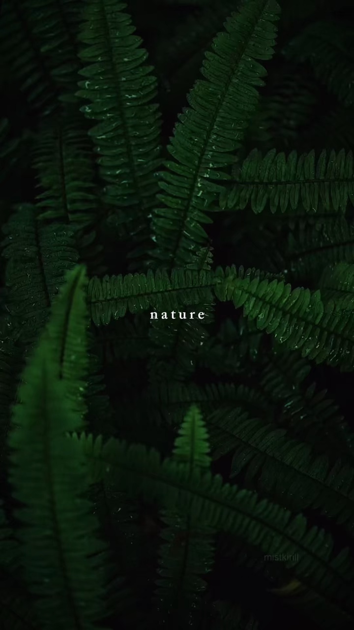 Natureza