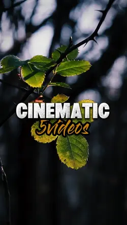 CINEMATIC 5VIDEOS