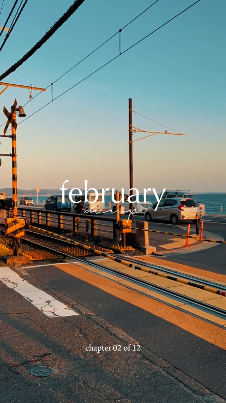 Volcado de febrero 