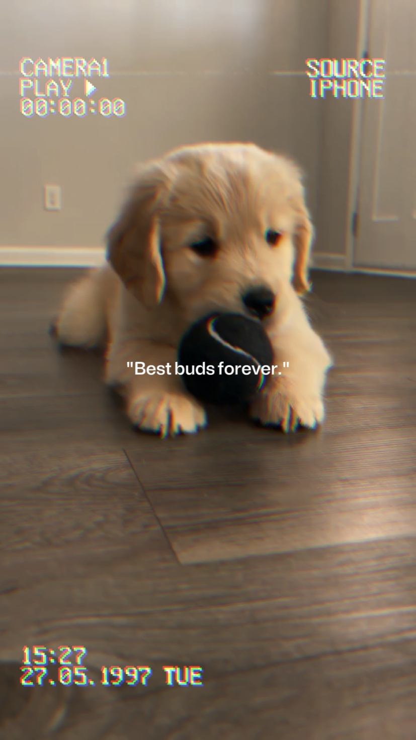 Best buds forever 
