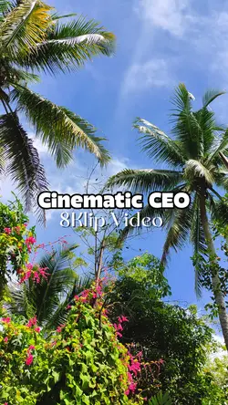Cinematic CEO