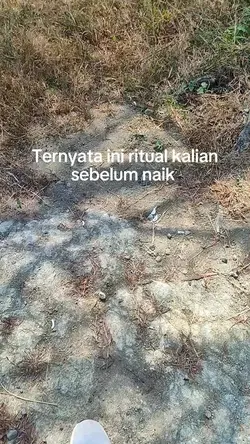 pemandangan