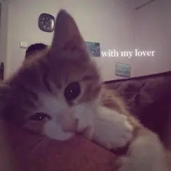 lover
