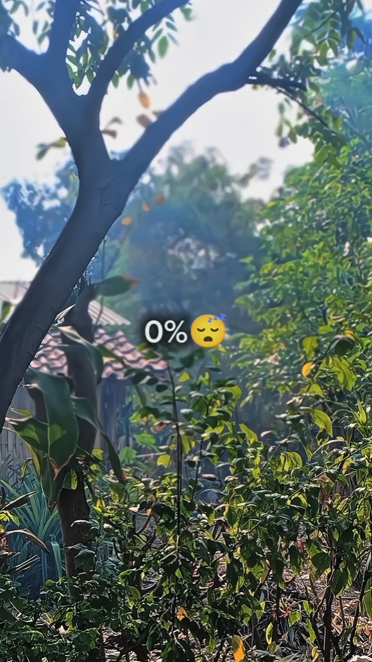 0% vs 100%
