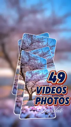49 video or photo 