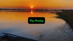 Fly Away