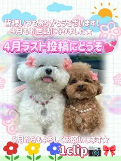 5月もよろしくお願いします