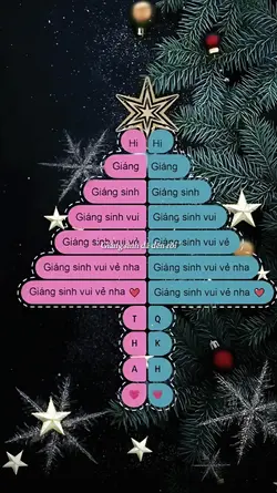 TREND CÂY THÔNG HOT