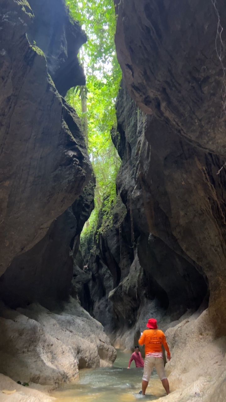 Aventura sikyop