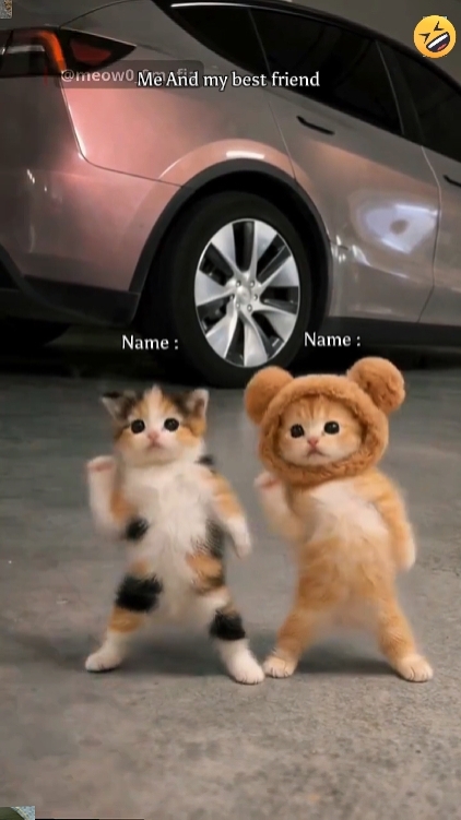 Cute Cute