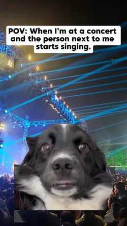 when I’m at concert