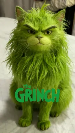 The Grinch Filter