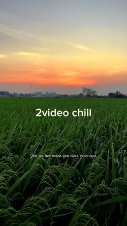 2 video lúa chiều