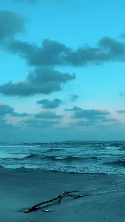 Cinematic Timelapse