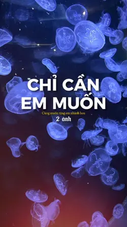 MẪU 2 ẢNH