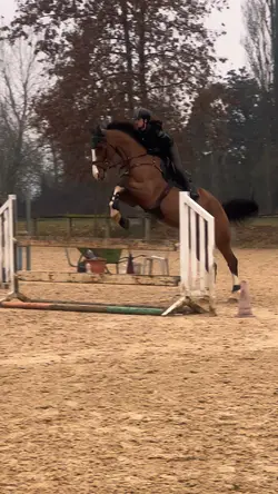 FLYING 😻😼 FAKE AI
