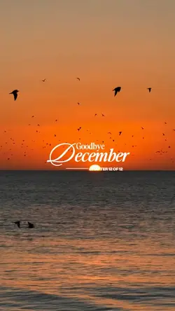 Goodbye december 