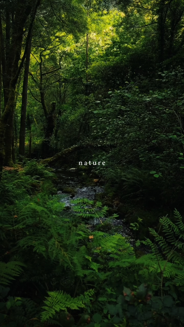 Naturaleza