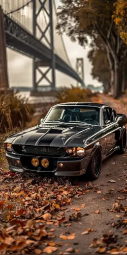 muscle cars 