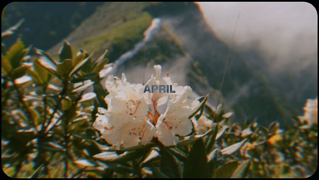 VLOG DE DESPEJO DE ABRIL