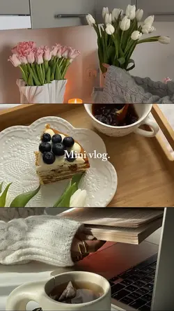 Mini vlog