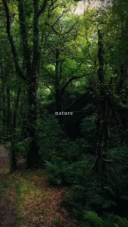 nature