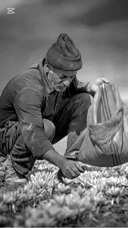 Baba sablonu 