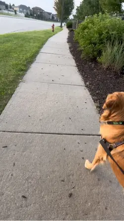 I’m not “fine”