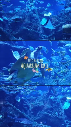 Aquarium Date Vlog