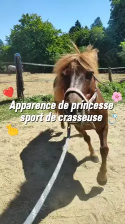 Sport apparence