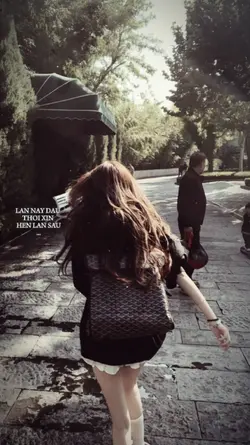 1 ảnh + Màu Lyrics 