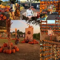 Pumpkin spice