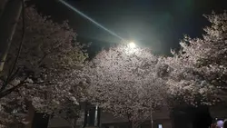 앞으로도 열심히! 하겠습니다