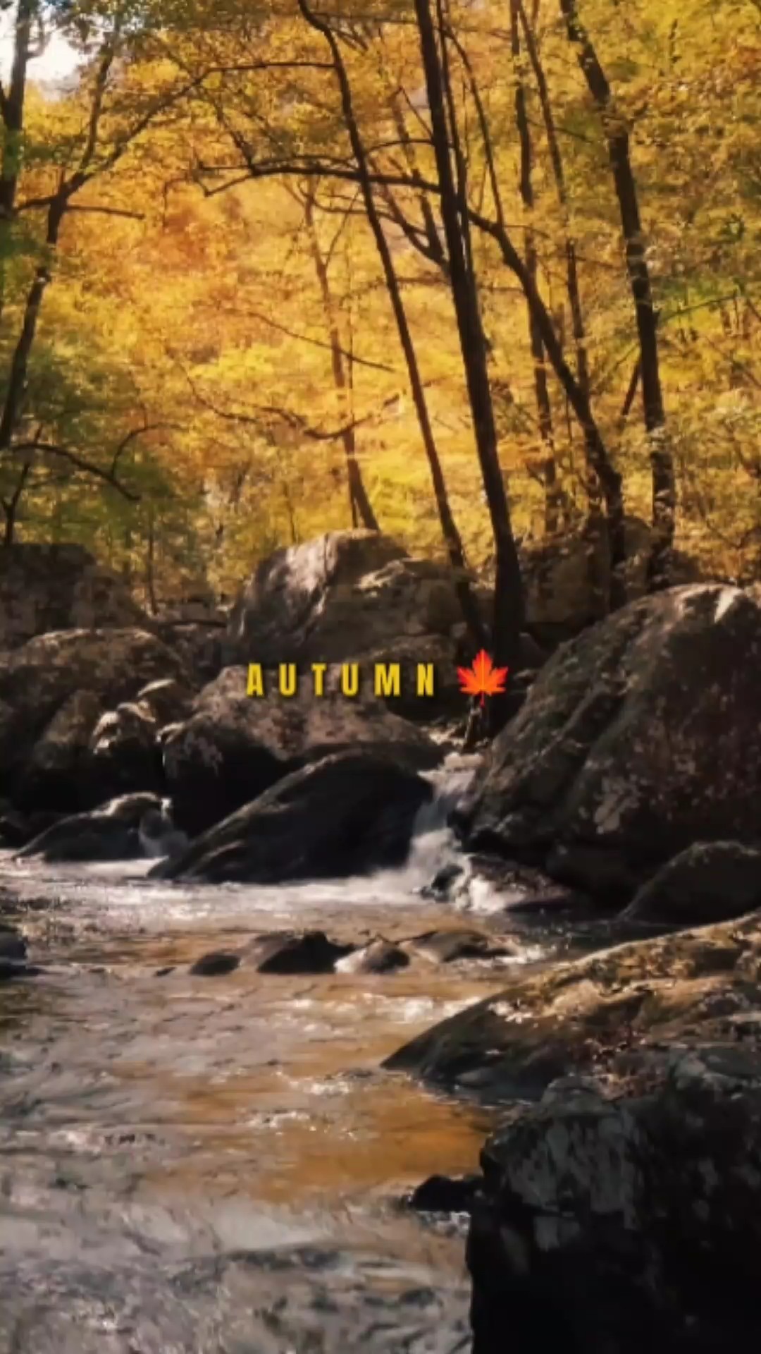 ⁴ Autumn 
