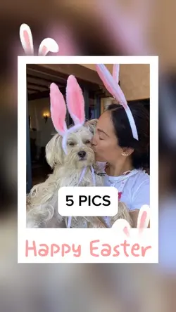 Happy Easter 🐰