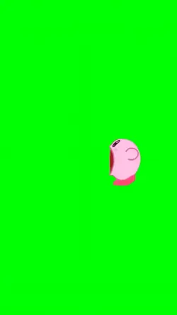 KIRBY S*CK*NG