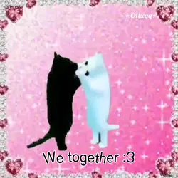 Koty zjadły opis 😋😼