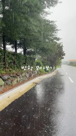 방학 모아보기 ✈️