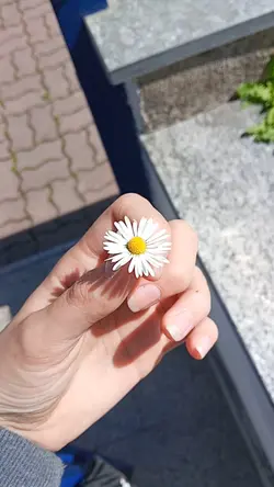 ti ho nella mente 